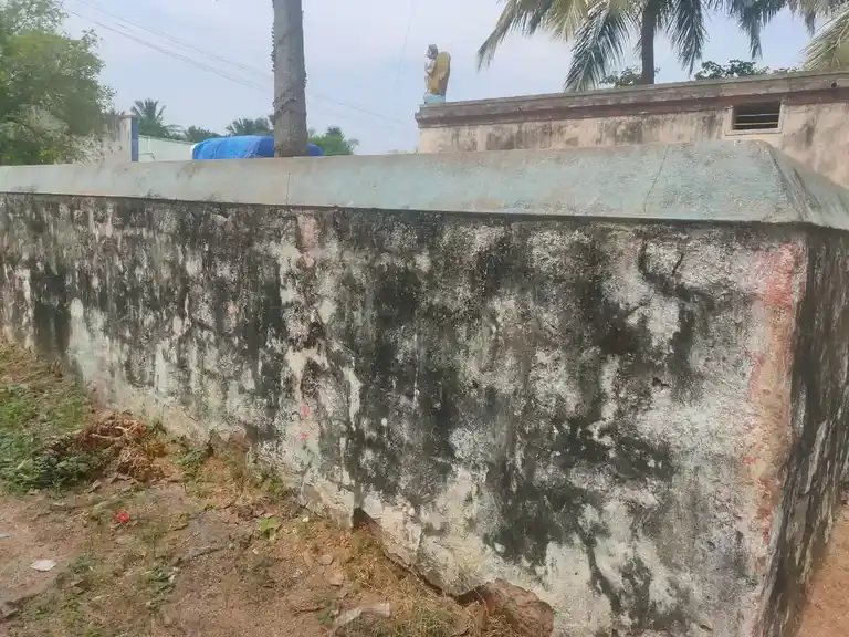 Arulmigu Sanjeevirayar Temple, Pallavaadi - 607201 Arulmigu Sanjeevirayar Temple, Pallavaadi - 607201, Kallakurichi - Ancient Temple Architecture and History Image 4