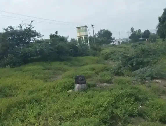 Arulmigu Sanjeevirayar Temple, Thimmaapuram - 606201