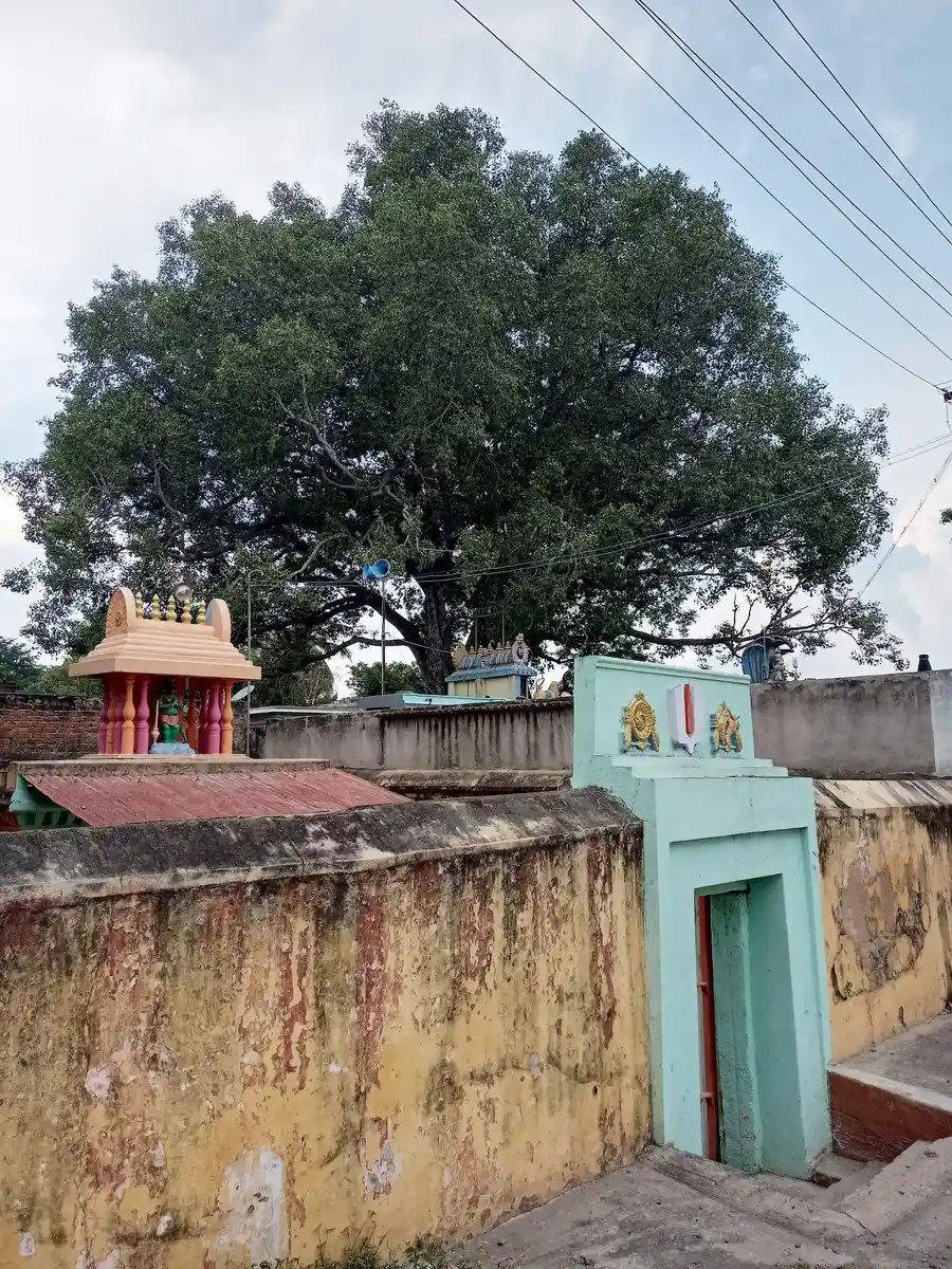Arulmigu Sanjeevirayar Temple, Vadavellore - 632004 அருள்மிகு சஞ்சிவிராயர் திருக்கோயில், வடவேலூர் - 632004, Vellore - Ancient Temple Architecture and History Image 4