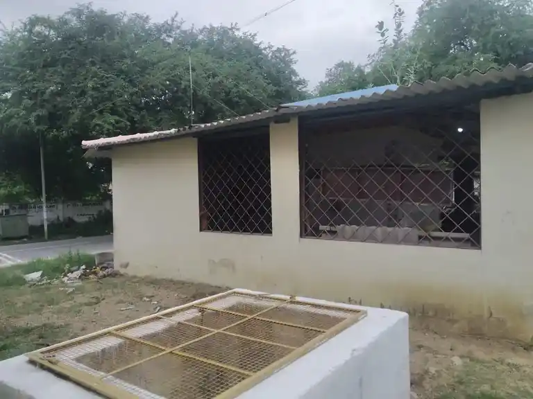 Arulmigu Sanjevarayaswamy Temple, Mallappadi - 635104 அருள்மிகு சஞ்சிவராயசுவாமி திருக்கோயில், மல்லப்பாடி - 635104, Krishnagiri - Ancient Temple Architecture and History Image 2