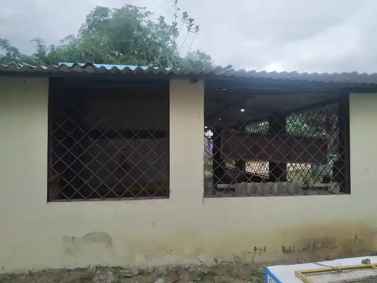 Arulmigu Sanjevarayaswamy Temple, Mallappadi - 635104 அருள்மிகு சஞ்சிவராயசுவாமி திருக்கோயில், மல்லப்பாடி - 635104, Krishnagiri - Ancient Temple Architecture and History Image 9