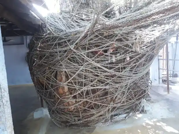 Arulmigu Sankalli Karupanna Swamy Temple, Thalaiyanallur, Kodumudi - 638109 அருள்மிகு சங்கிலி கருப்பண்ண சுவாமி திருக்கோயில், Thalaiyanallur, Kodumudi - 638109, Erode - Ancient Temple Architecture and History Image 2