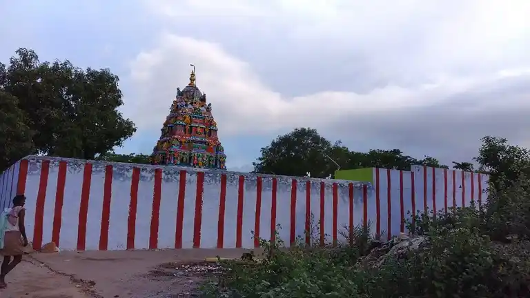 Arulmigu Sankara Narayanasamy Temple, Lingampatti - 628503 அருள்மிகு சங்கர நாராயண சாமி திருக்கோயில், Lingampatti - 628503, Thoothukudi - Ancient Temple Architecture and History Image 2