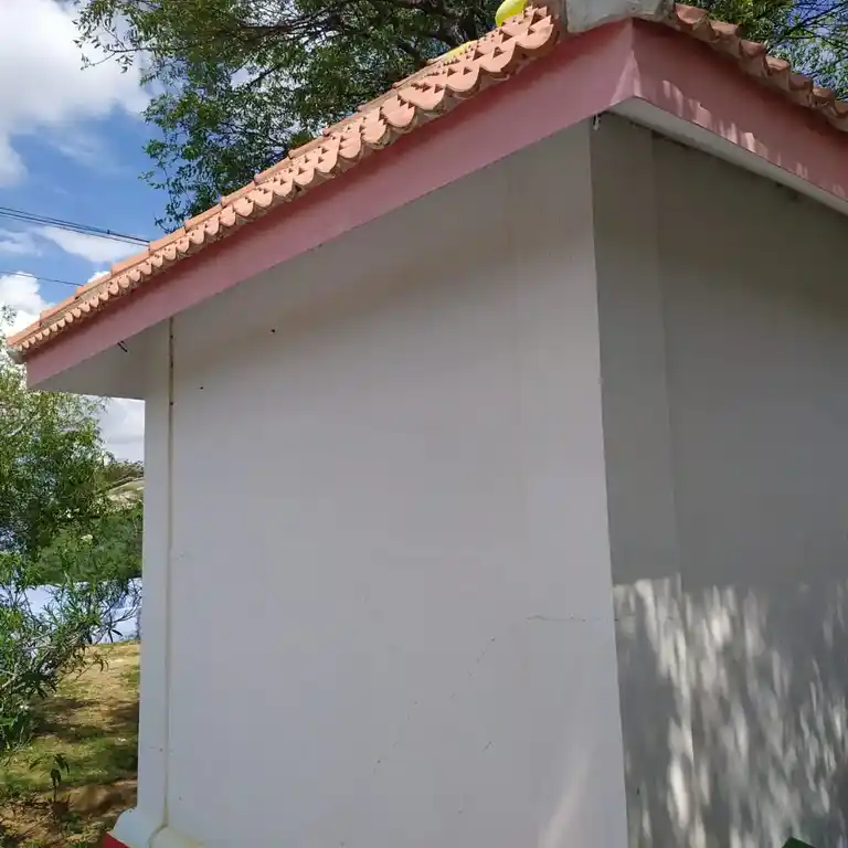 Arulmigu Sankara Vinayagar Temple, End Of The Street, Ichanda - 627857 அருள்மிகு சங்கர விநாயகர் திருக்கோயில், -, Ichanda - 627857, Tenkasi - Ancient Temple Architecture and History Image 2