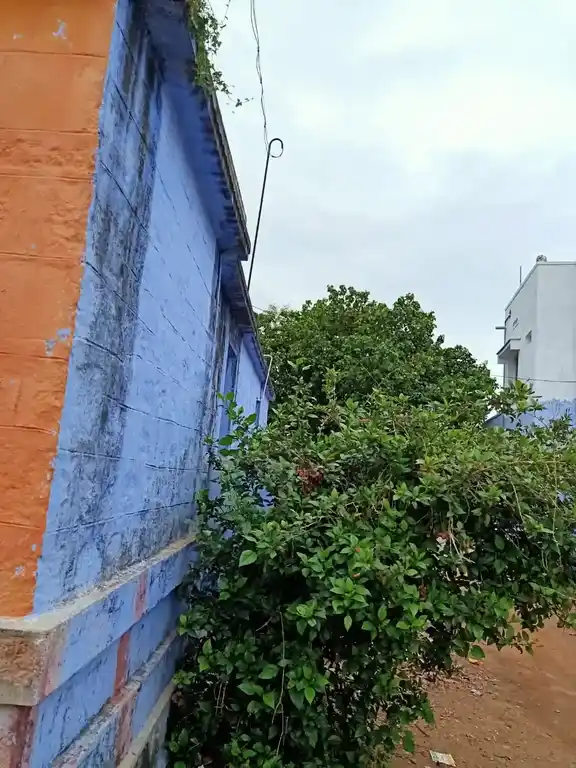 Arulmigu Sankara Vinayagar Temple, Ilathoor - 627809 Arulmigu Sankara Vinayagar Temple, Ilathoor - 627809, Tenkasi - Ancient Temple Architecture and History Image 3