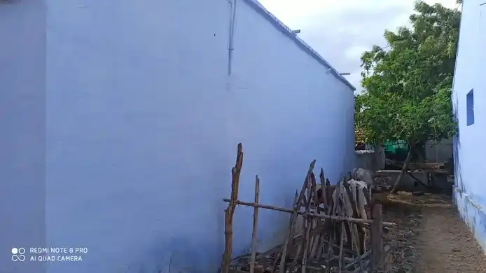 Arulmigu Sankara Vinayagar Temple, Ramanathapuram, Pudukudi - 628601 அருள்மிகு சங்கர விநாயகர் திருக்கோயில், Ramanathapuram, Pudukudi - 628601, Thoothukudi - Ancient Temple Architecture and History Image 2