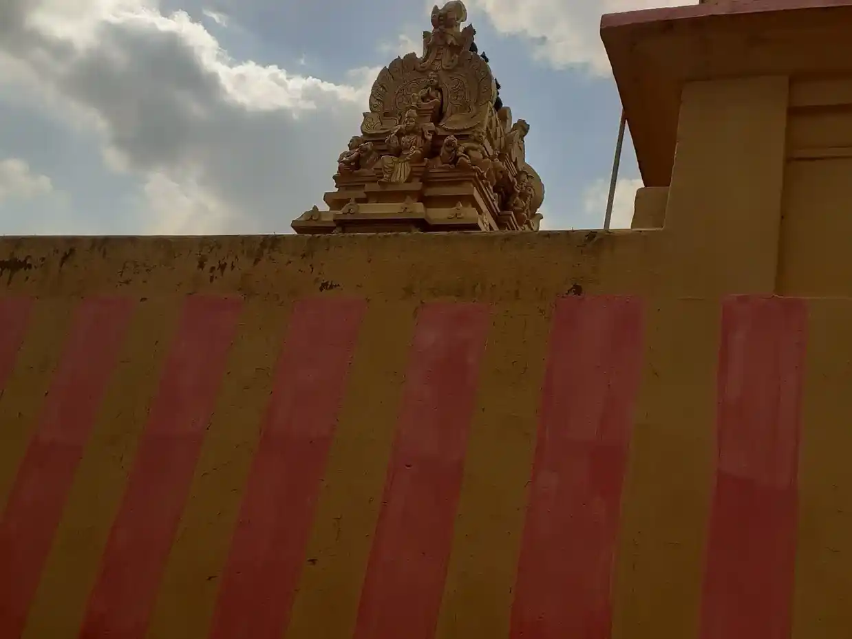 Arulmigu Sankaralinga Swamy Temple, Tenkasi Nagar, Tenkasi - 627811 சங்கரலிங்கசாமி திருக்கோயில், Nagar, Tenkasi - 627811, Tenkasi - Ancient Temple Architecture and History Image 7