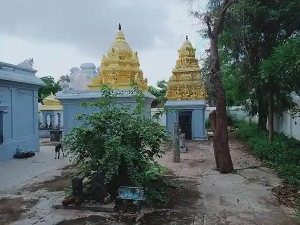 Arulmigu Sankaranarayana Eswarar Temple, Brammadesam - 632511 அருள்மிகு சங்கர நாராயணஈஸ்வரர் திருக்கோயில், Brammadesam - 632511, Tiruvannamalai - Ancient Temple Architecture and History Image 4