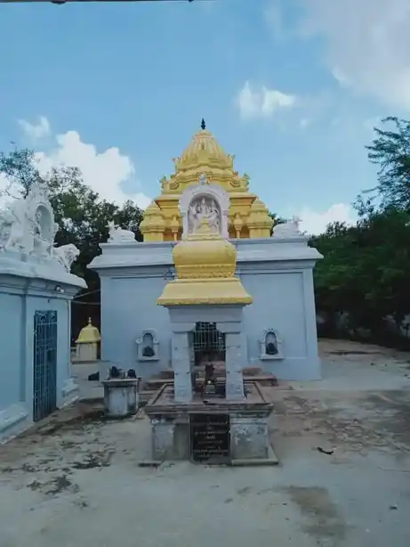 Arulmigu Sankaranarayana Eswarar Temple, Brammadesam - 632511 அருள்மிகு சங்கர நாராயணஈஸ்வரர் திருக்கோயில், Brammadesam - 632511, Tiruvannamalai - Ancient Temple Architecture and History Image 5