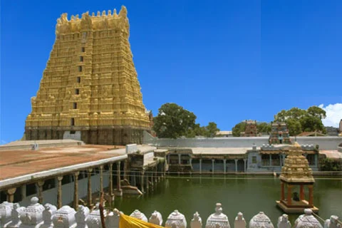 அருள்மிகு சங்கரநாராயண சுவாமி திருக்கோயில், சங்கரன்கோயில் - 627756