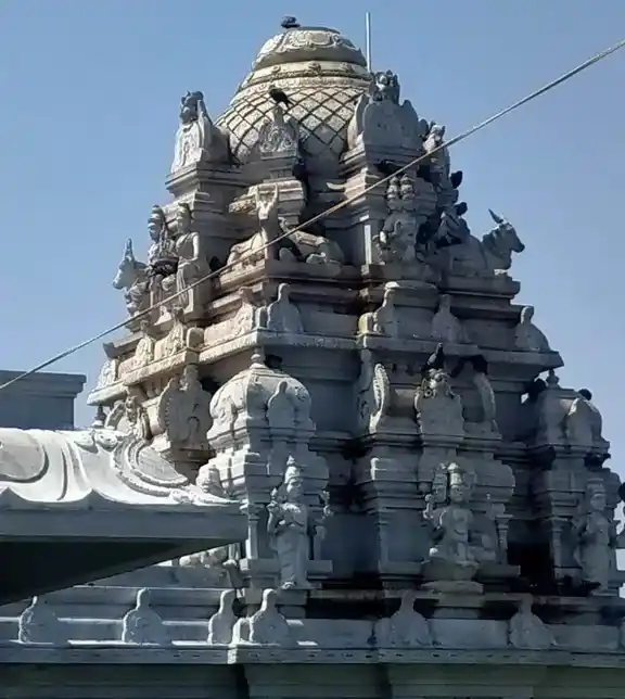 Arulmigu Sankaranathar Swamy Temple, Sangaranatharkudikadu - 614626 Arulmigu Sankaranathar Swamy Temple, Sangaranatharkudikadu - 614626, Thanjavur - Ancient Temple Architecture and History Image 2
