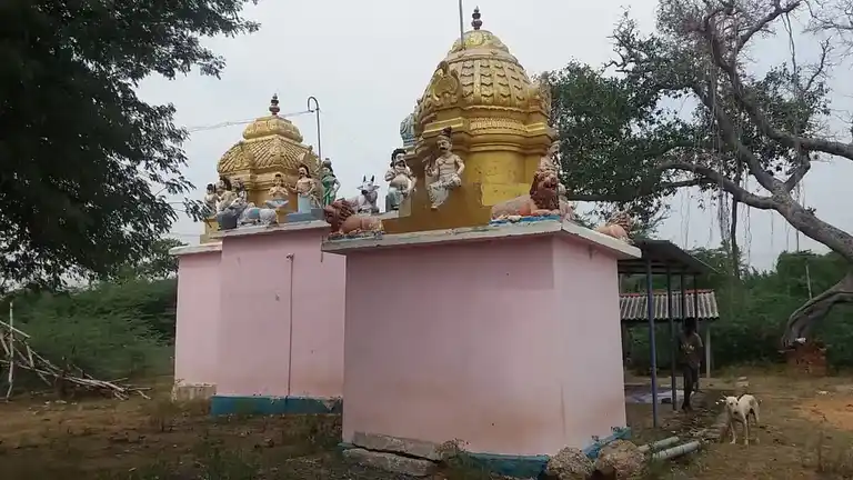 Arulmigu Sannani Karuppu Samy Temple, Keelakolathur - 621715 அருள்மிகு சன்னாசிகருப்பு திருக்கோயில், Keelakolathur - 621715, Ariyalur - Ancient Temple Architecture and History Image 3