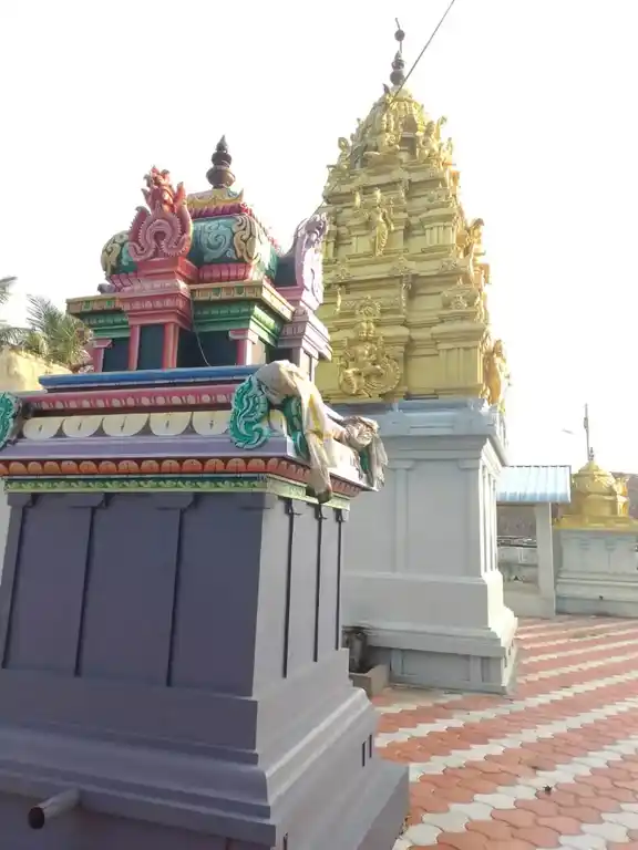 Arulmigu Sanniyasi Varatharaja Perumal Temple, Karumpur - 607205 அருள்மிகு சன்னியாசி வரதராஜப்பெருமாள் கோயில், Karumpur - 607205, Cuddalore - Ancient Temple Architecture and History Image 5