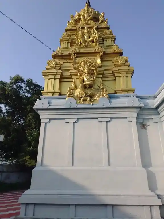 Arulmigu Sanniyasi Varatharaja Perumal Temple, Karumpur - 607205 அருள்மிகு சன்னியாசி வரதராஜப்பெருமாள் கோயில், Karumpur - 607205, Cuddalore - Ancient Temple Architecture and History Image 9