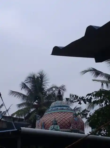 Arulmigu Sansivirayar Swamy Temple, Ammayappan - 613701 அருள்மிகு சஞ்சீவிராயர் திருக்கோயில், Ammayappan - 613701, Thiruvarur - Ancient Temple Architecture and History Image 3