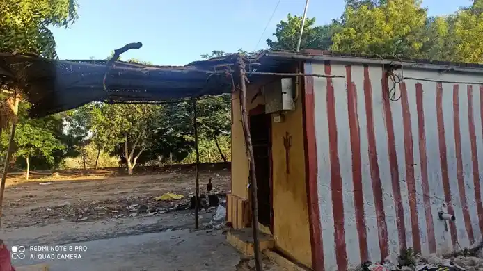 Arulmigu Santhana Mariamman Temple, Seidunganallur - 628601