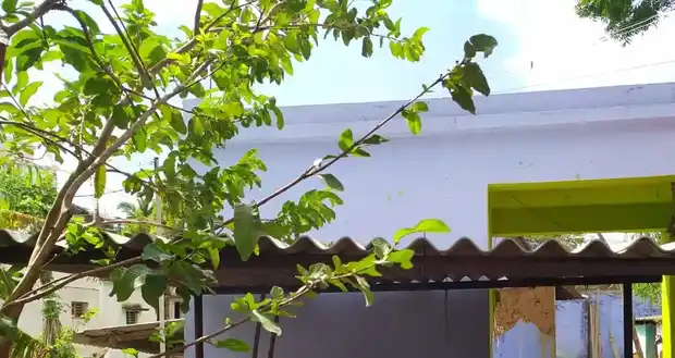 Arulmigu Santhanamariamman Temple, Centre Of The Village, Annapoornapuram - 627754 அருள்மிகு சந்தனமாரியம்மன் திருக்கோயில், Centre Of The Village, Annapoornapuram - 627754, Tenkasi - Ancient Temple Architecture and History Image 4