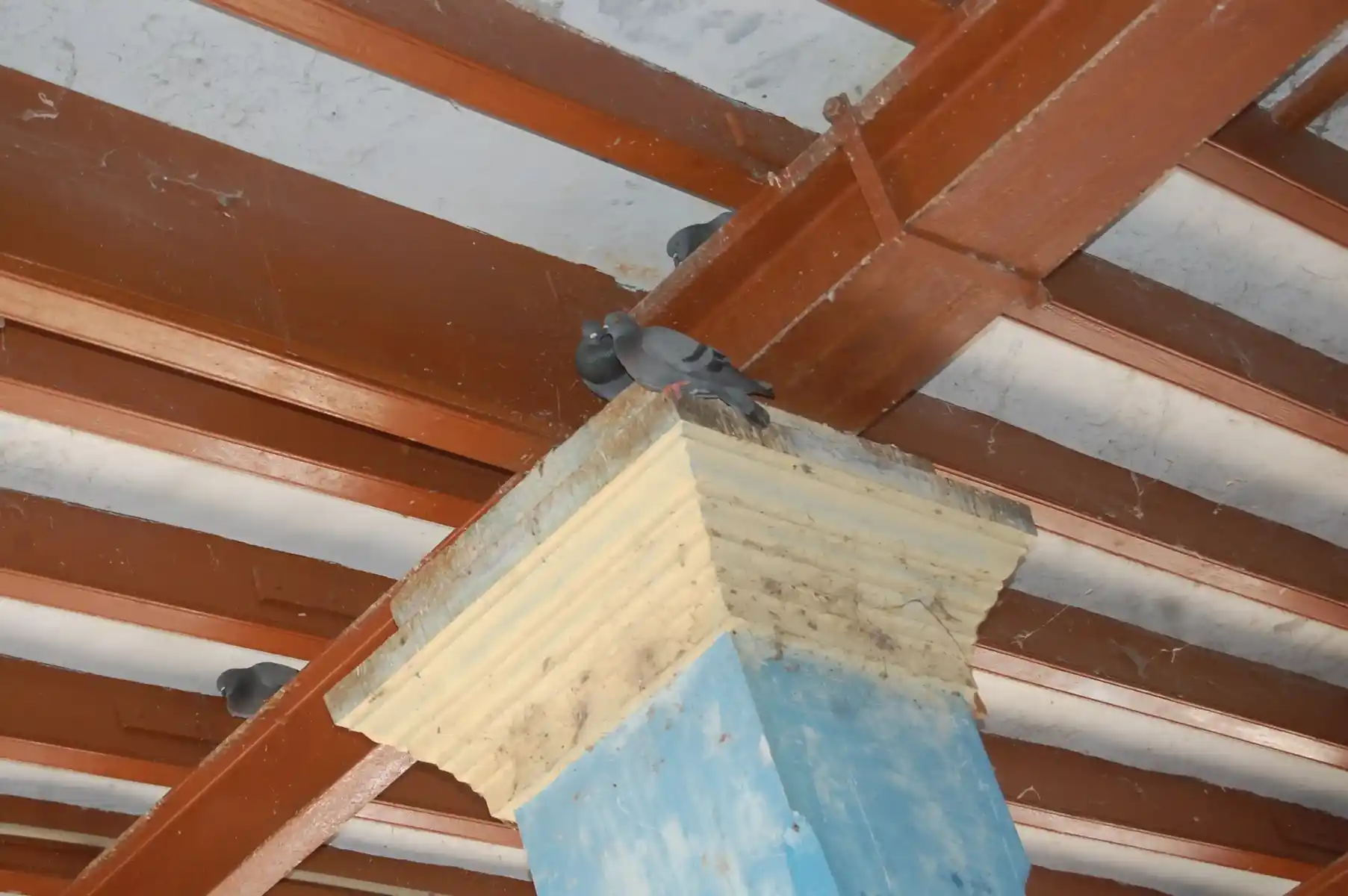 Arulmigu Santhanaramaswamy Temple, Needamangalam - 614404