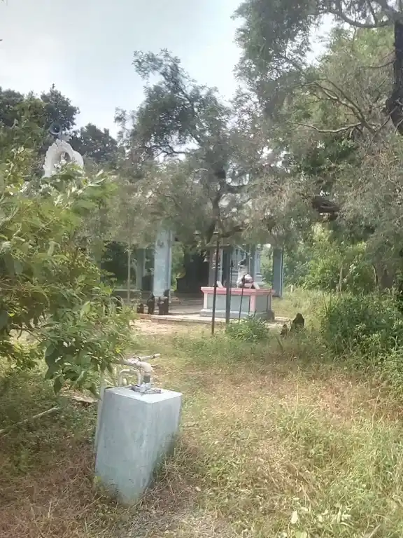 Arulmigu Santhanathyee Amman Temple, Kadukoor - 621705 அருள்மிகு சந்தனதாயி திருக்கோயில், Kadukoor - 621705, Ariyalur - Ancient Temple Architecture and History Image 3