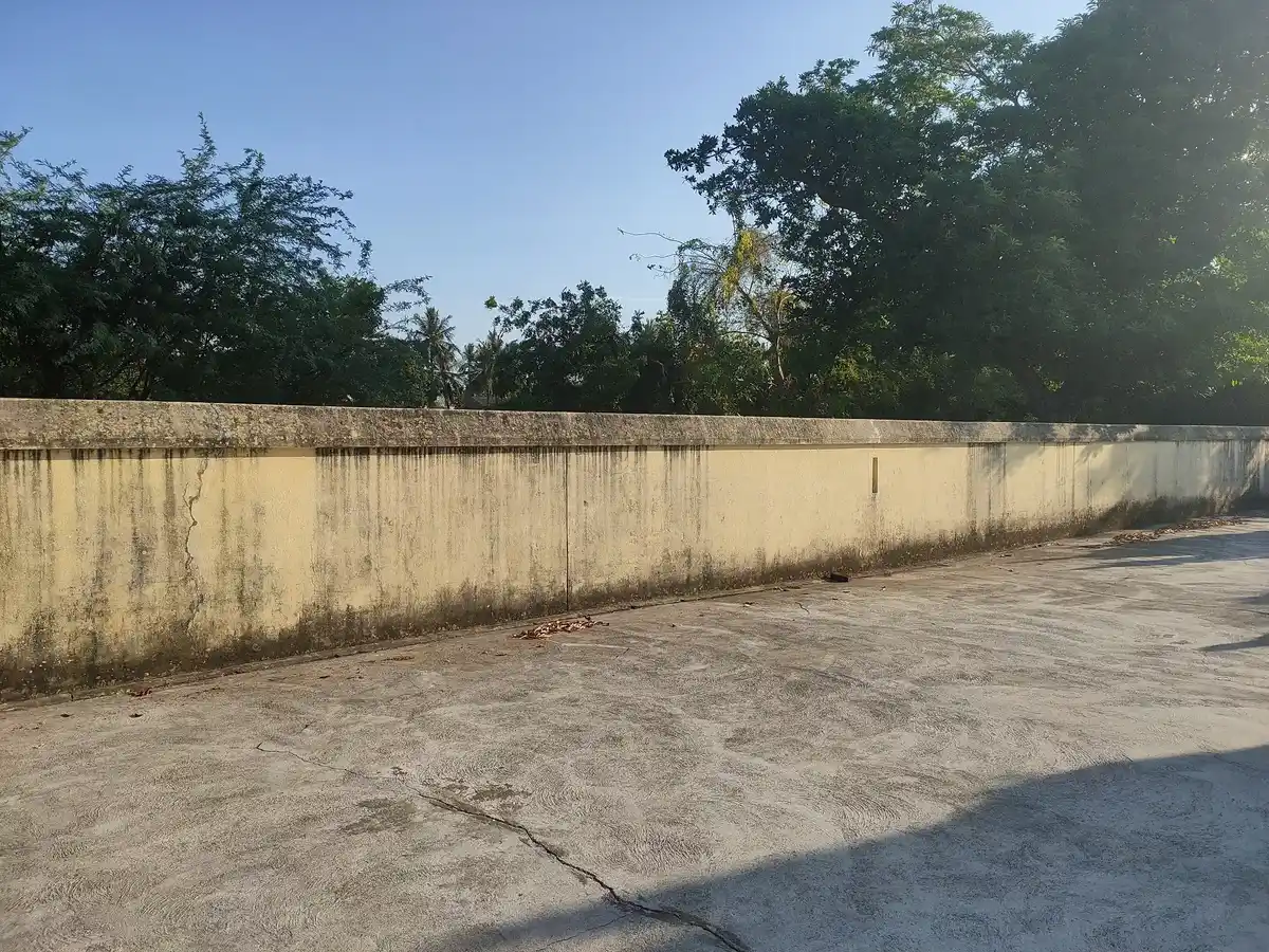 Arulmigu Sarntharai Kattha Swamy Temple, Sangamangalam - 611105 அருள்மிகு சார்ந்தாரை காத்த சுவாமி திருக்கோயில், சங்கமங்கலம் - 611105, Nagapattinam - Ancient Temple Architecture and History Image 5