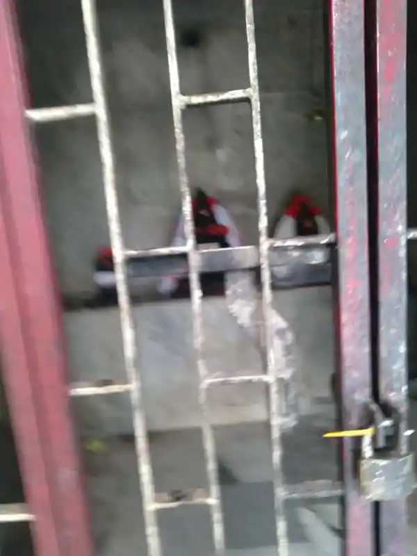 Arulmigu Sarvasithi Vinayagar Temple, Agarakadampanur - 611104 அருள்மிகு சர்வசித்தி விநாயகர் திருக்கோயில், Agarakadampanur - 611104, Nagapattinam - Ancient Temple Architecture and History Image 4