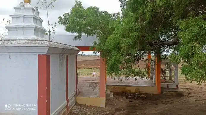 Arulmigu Sastha Arasudaiyar Temple, Ellainayakkanpatti - 628601 அருள்மிகு சாஸ்தா அரசுடையார் திருக்கோயில், 0, Ellainayakkanpatti - 628601, Thoothukudi - Ancient Temple Architecture and History Image 5