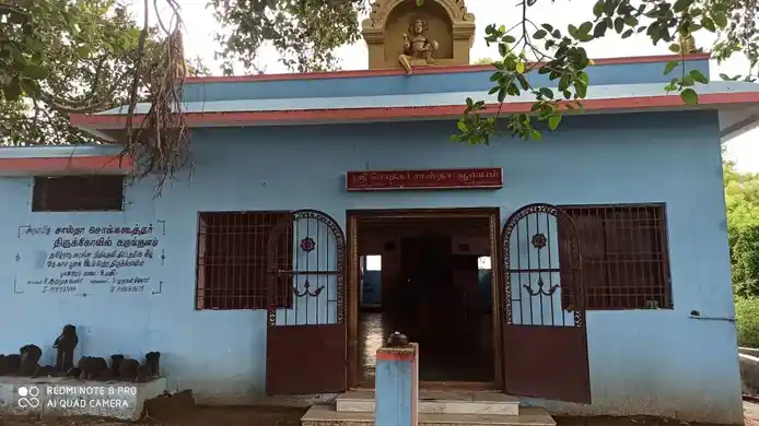 Arulmigu Sastha Chokkacootthar Temple, Karungulam - 628615 அருள்மிகு சாஸ்தா சொக்ககூத்தர் திருக்கோயில், Karungulam - 628615, Thoothukudi - Ancient Temple Architecture and History Image 8