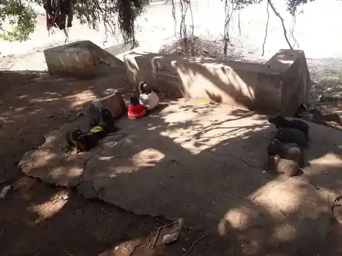 Arulmigu Sastha Kaliyugathu Meyyar Temple, Karuva Nallur - 627012 அருள்மிகு சாஸ்தா கலியுகத்து மெய்யன் திருக்கோயில், கருவநல்லூர் - 627012, Tirunelveli - Ancient Temple Architecture and History Image 3