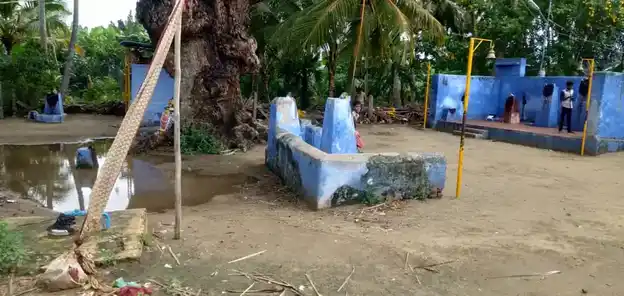 Arulmigu Sastha Mandala Ayyan Temple, Kalakkad - 627501 அருள்மிகு சாஸ்தா மண்டல அய்யன் திருக்கோயில், Kalakkad - 627501, Tirunelveli - Ancient Temple Architecture and History Image 3