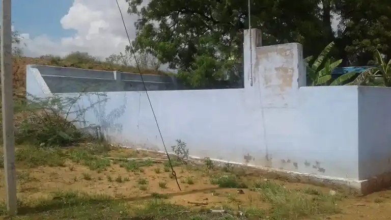 Arulmigu Sastha Perumal Ayyanar Temple, South Elanthaikulam - 628502 அருள்மிகு சாஸ்தா பெருமாள் அய்யனார் திருக்கோயில், South Elanthaikulam - 628502, Thoothukudi - Ancient Temple Architecture and History Image 3