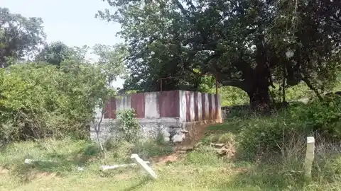 Arulmigu Sastha Sutchamudaiyar Temple, Kadaiyam Perumpathu, Kadaiyam Perumpathu - 627415 அருள்மிகு சாஸ்தா சூட்சமுடையார் திருக்கோயில், கடையம் பெரும்பத்து, கடையம் பெரும்பத்து - 627415, Tenkasi - Ancient Temple Architecture and History Image 2