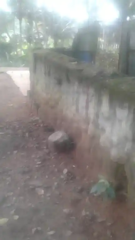 Arulmigu Sastha Temple, Champrodu, Paloor - 629177 Temple