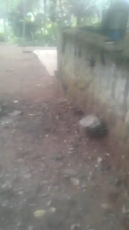 Arulmigu Sastha Temple, Champrodu, Paloor - 629177 Arulmigu Sastha Temple, Champrodu, பாலூர் - 629177, Kanyakumari - Ancient Temple Architecture and History Image 3