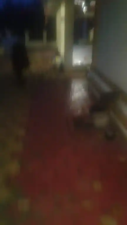 Arulmigu Sastha Temple, Kaariyodu, Killiyoor - 629177 Temple