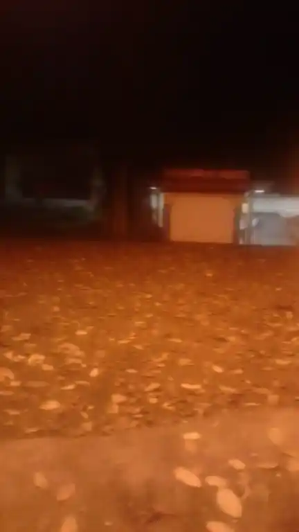 Arulmigu Sastha Temple, Kaariyodu, Killiyoor - 629177 Arulmigu Sastha Temple, Kaariyodu, கிள்ளியூர் - 629177, Kanyakumari - Ancient Temple Architecture and History Image 3