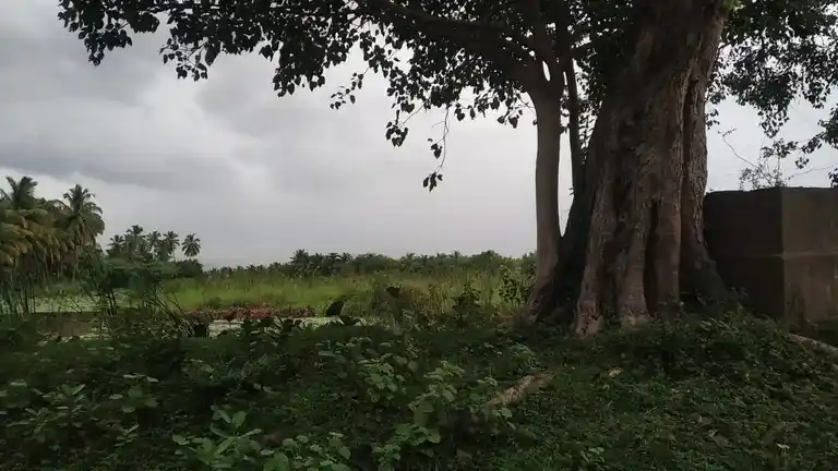 Arulmigu Sastha Temple, Kakkottuthalai, Iraniel - 629175 Temple