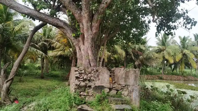 Arulmigu Sastha Temple, Kakkottuthalai, Iraniel - 629175 Arulmigu Sastha Temple, Kakkottuthalai, Iraniel - 629175, Kanyakumari - Ancient Temple Architecture and History Image 4