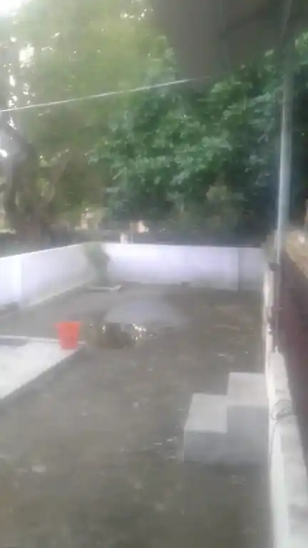 Arulmigu Sastha Temple, Kanchiramtharai, Paloor - 629177 Arulmigu Sastha Temple, Kanchiramtharai, பாலூர் - 629177, Kanyakumari - Ancient Temple Architecture and History Image 2