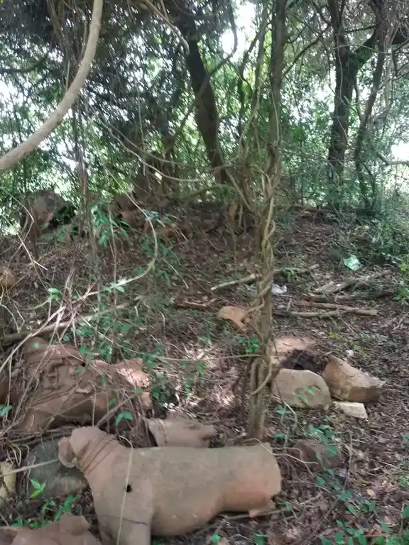 Arulmigu Sastha Temple, Kannanthittai, Aloor - 629801 Temple