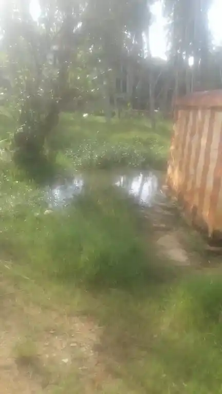 Arulmigu Sastha Temple, Kinatruvilai, Killiyoor - 629177 Arulmigu Sastha Temple, Kinatruvilai, கிள்ளியூர் - 629177, Kanyakumari - Ancient Temple Architecture and History Image 4