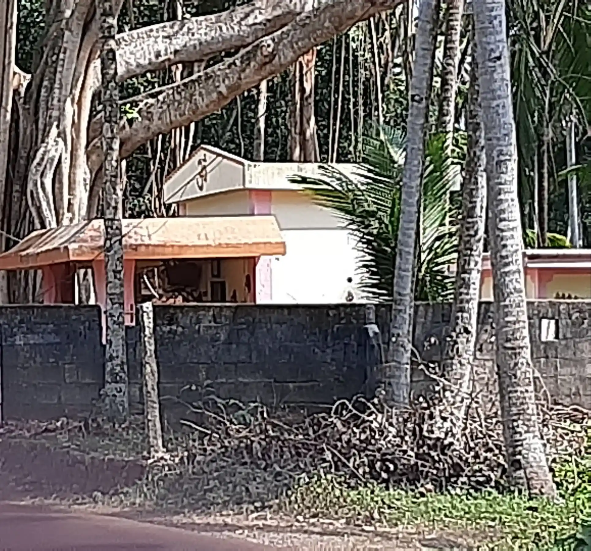 Arulmigu Sastha Temple, Kochathumoolai, Amsi - 629173 அருள்மிகு சாஸ்தா திருக்கோயில், Kochathumoolai, Amsi - 629173, Kanyakumari - Ancient Temple Architecture and History Image 2