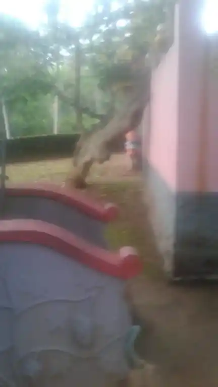 Arulmigu Sastha Temple, Kuthirodu, Paloor - 629177 Arulmigu Sastha Temple, Kuthirodu, பாலூர் - 629177, Kanyakumari - Ancient Temple Architecture and History Image 5