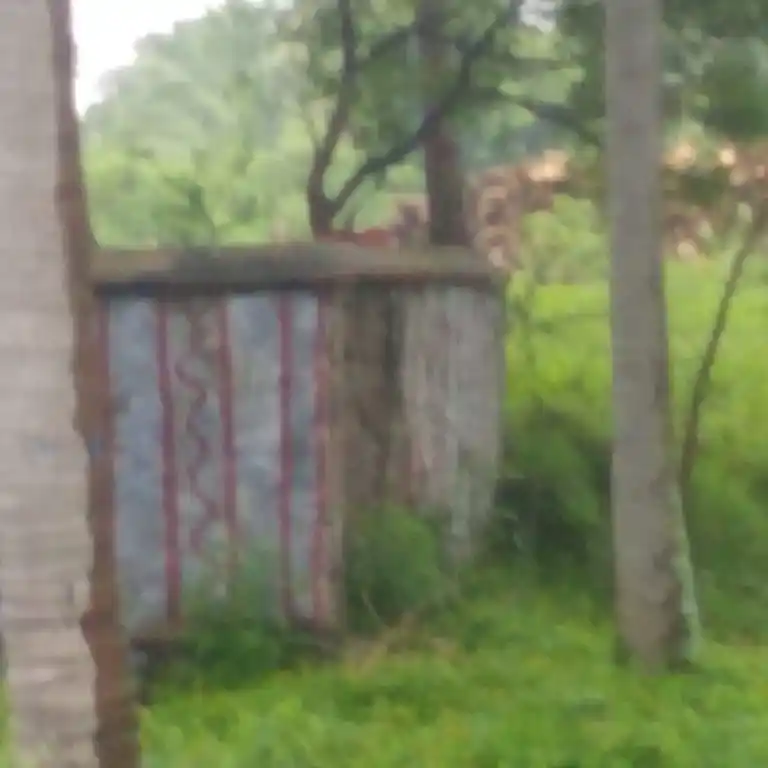 Arulmigu Sastha Temple, Manankodu, Karavilai - 629175 Arulmigu Sastha Temple, Manankodu, Karavilai - 629175, Kanyakumari - Ancient Temple Architecture and History Image 3