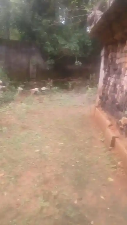 Arulmigu Sastha Temple, Mudiyanvilai, Nattalam - 629170 Temple