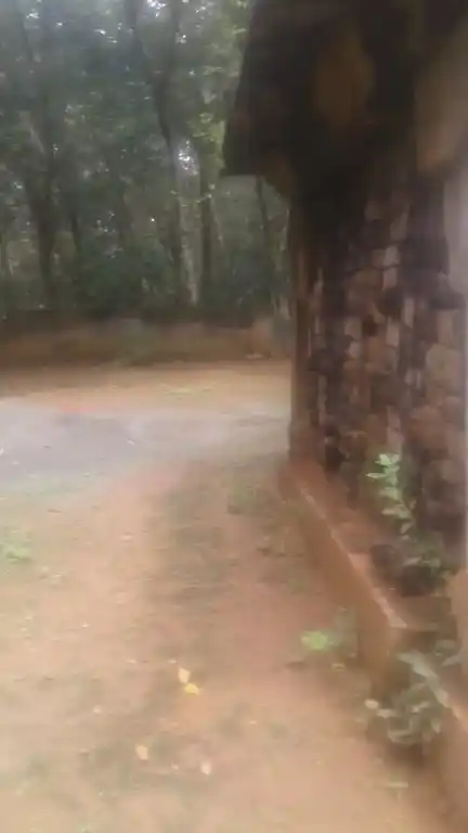 Arulmigu Sastha Temple, Mudiyanvilai, Nattalam - 629170 Arulmigu Sastha Temple, Mudiyanvilai, நாட்டலாம் - 629170, Kanyakumari - Ancient Temple Architecture and History Image 2