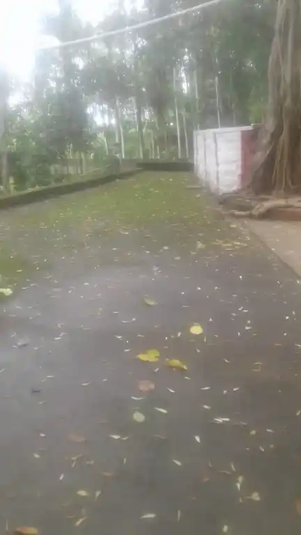 Arulmigu Sastha Temple, Mulagumoodu, Killiyoor - 629177 Arulmigu Sastha Temple, Mulagumoodu, கிள்ளியூர் - 629177, Kanyakumari - Ancient Temple Architecture and History Image 2