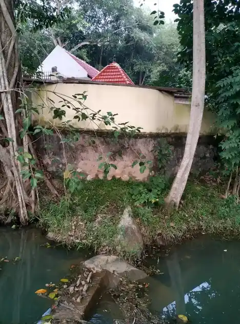 Arulmigu Sastha Temple, Near Kovil Kulam, Kakottupidagai - 629802 அருள்மிகு சாஸ்தா திருக்கோயில், Near Kovil Kulam, Kakottupidagai - 629802, Kanyakumari - Ancient Temple Architecture and History Image 2