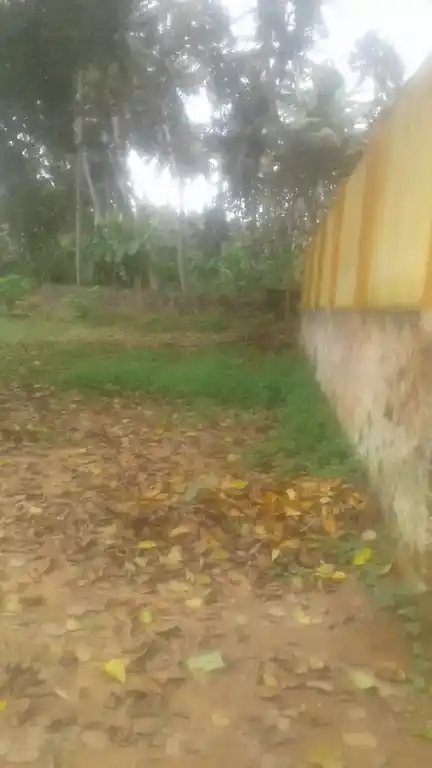 Arulmigu Sastha Temple, Puliyanthurai, Paloor - 629177 Arulmigu Sastha Temple, Puliyanthurai, பாலூர் - 629177, Kanyakumari - Ancient Temple Architecture and History Image 3