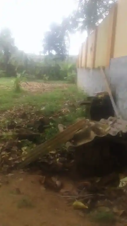 Arulmigu Sastha Temple, Puliyanthurai, Paloor - 629177 Arulmigu Sastha Temple, Puliyanthurai, பாலூர் - 629177, Kanyakumari - Ancient Temple Architecture and History Image 5