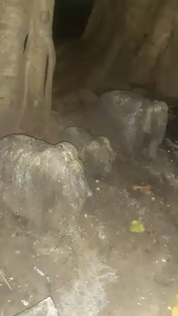 Arulmigu Sastha Temple, Punnarkulam, Agasteeswaram - 629701 அருள்மிகு சாஸ்தா திருக்கோயில், Punnarkulam, Agasteeswaram - 629701, Kanyakumari - Ancient Temple Architecture and History Image 2